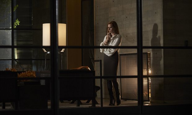 nocturnalanimals2