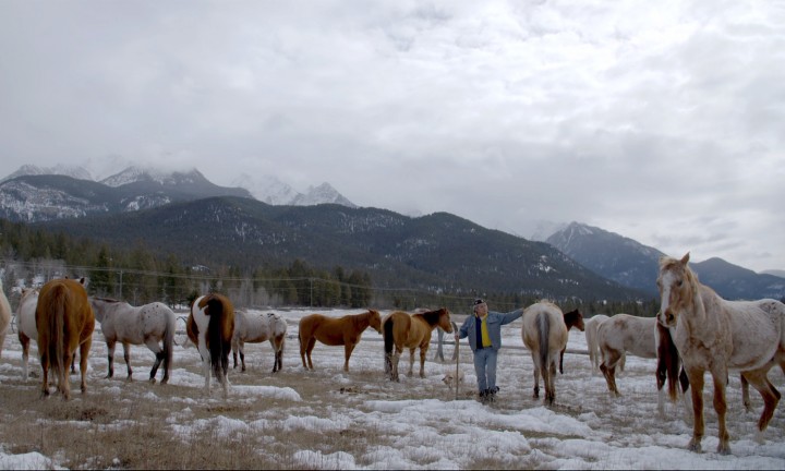 InTheNameOfAllCanadians2